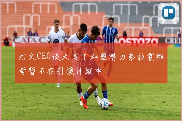 尤文CEO谈大马丁加盟潜力弗拉霍维奇暂不在引援计划中